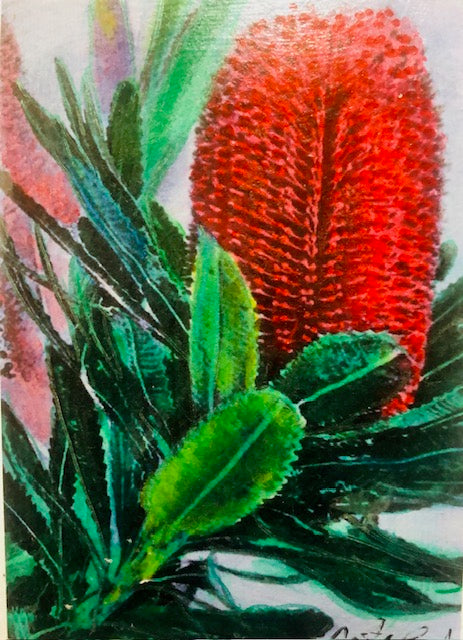 Hand-painted card - Red Banksia