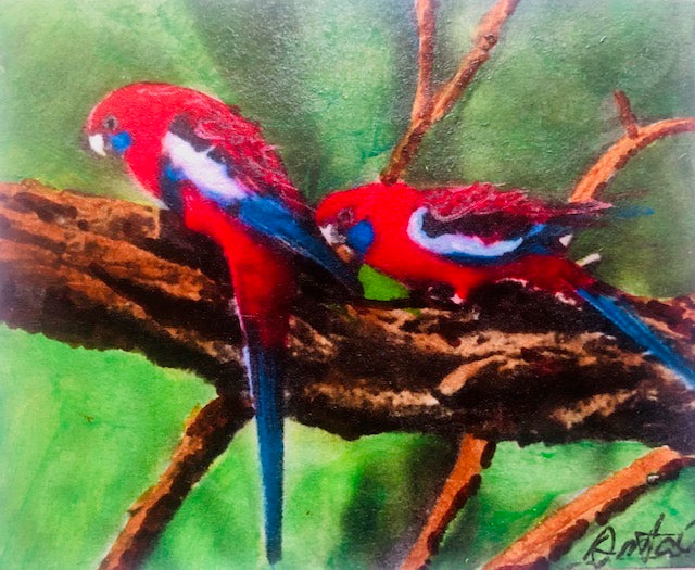 Hand-painted card - Two Rosellas