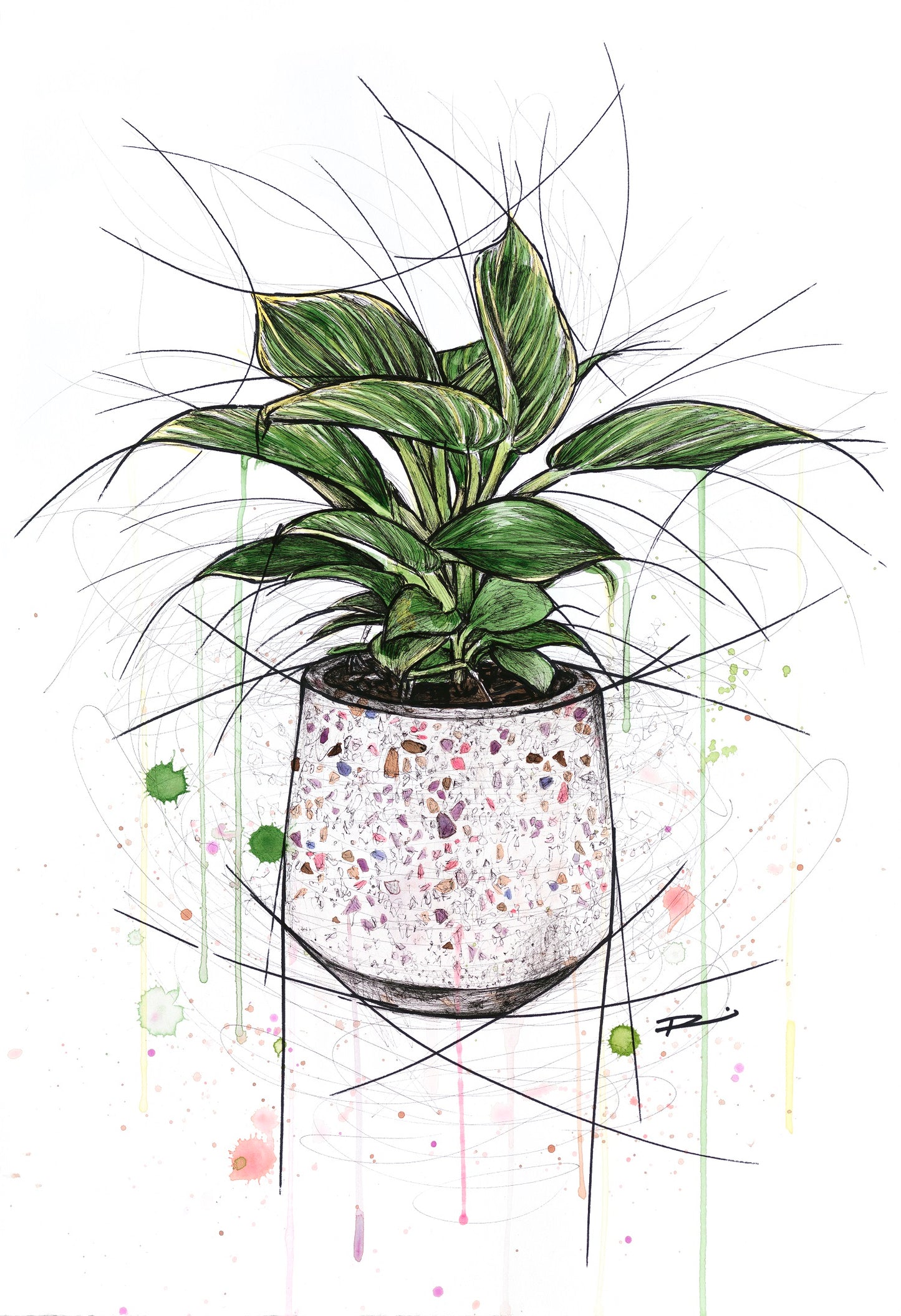 RENEE MITCHELL - AFFORDABLE ART FAIR | BRISBANE