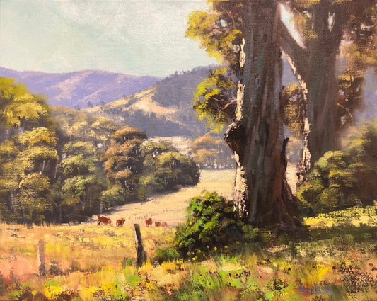 In The Hills, Barrington