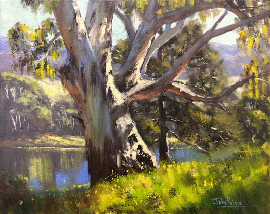 In the Wetlands, Putta Bucca