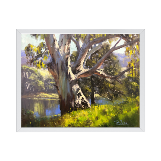 In the Wetlands, Putta Bucca