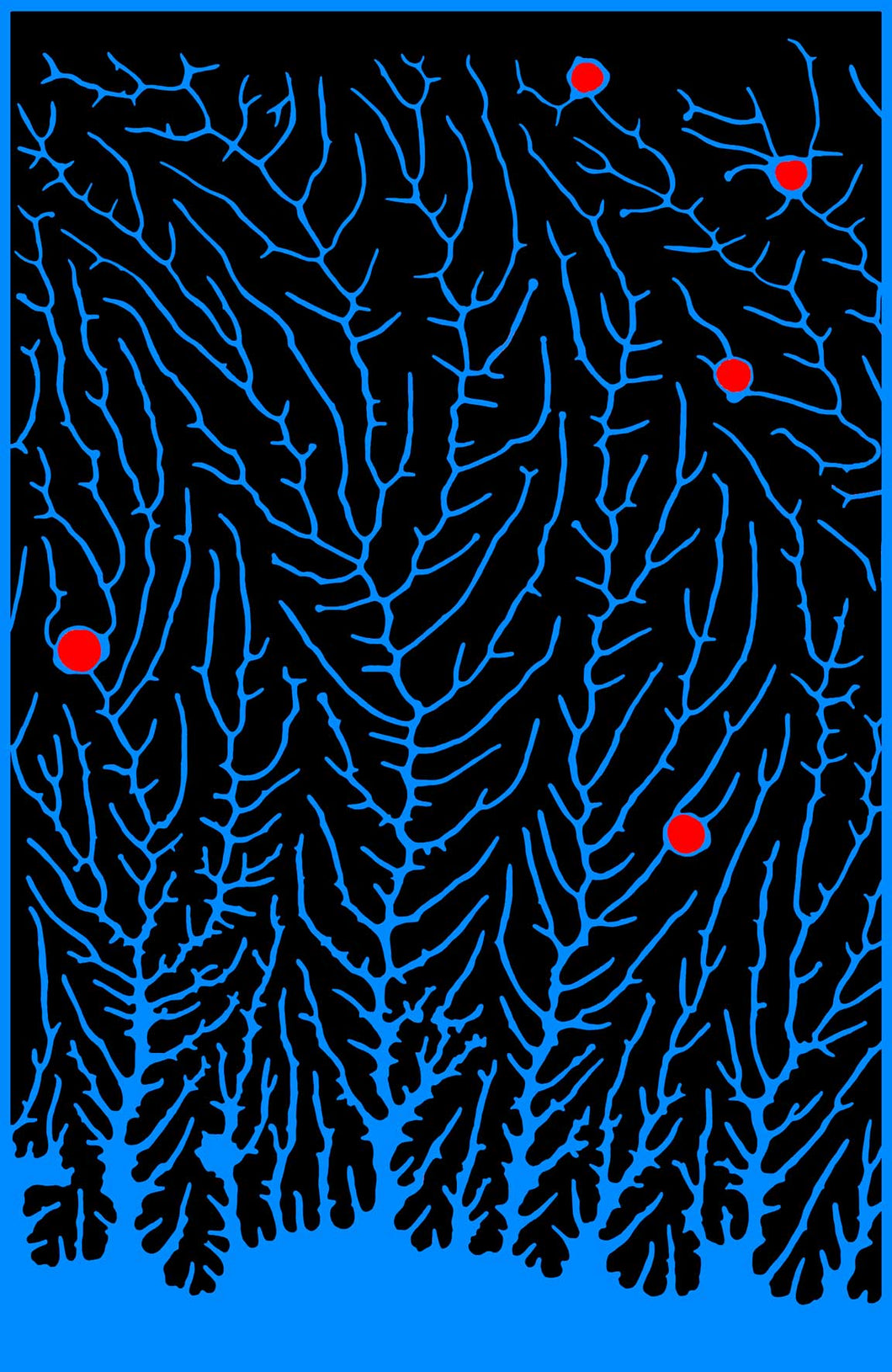 Into the Deep