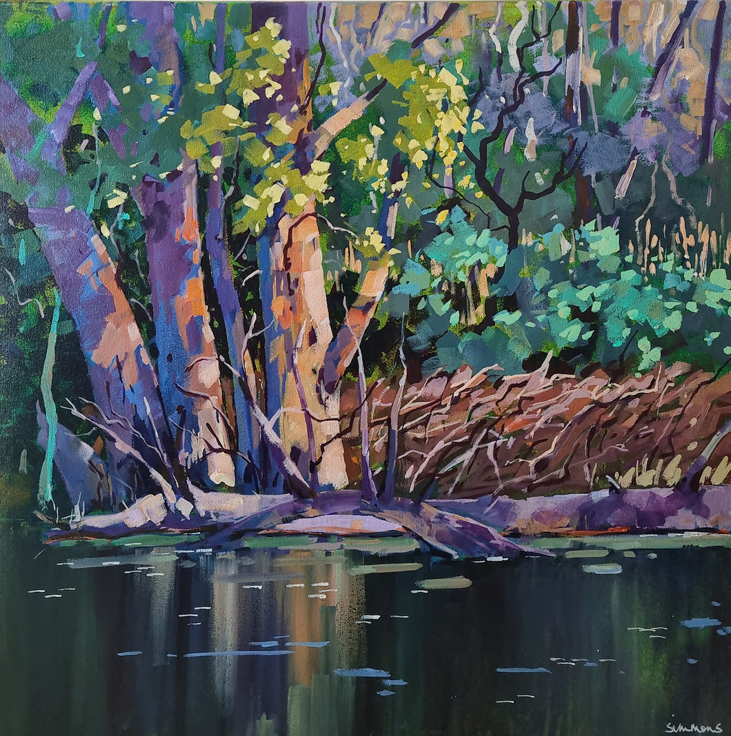 Cotter Reflections