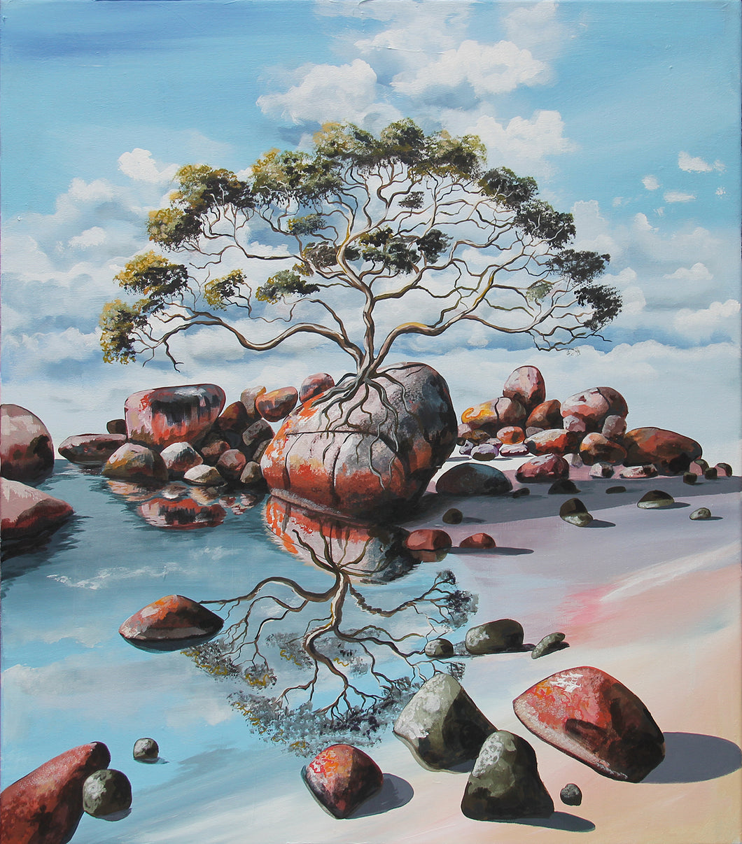 Rooted Reflection