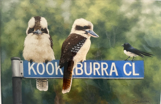 Kookaburra Close - Limited Edition Print