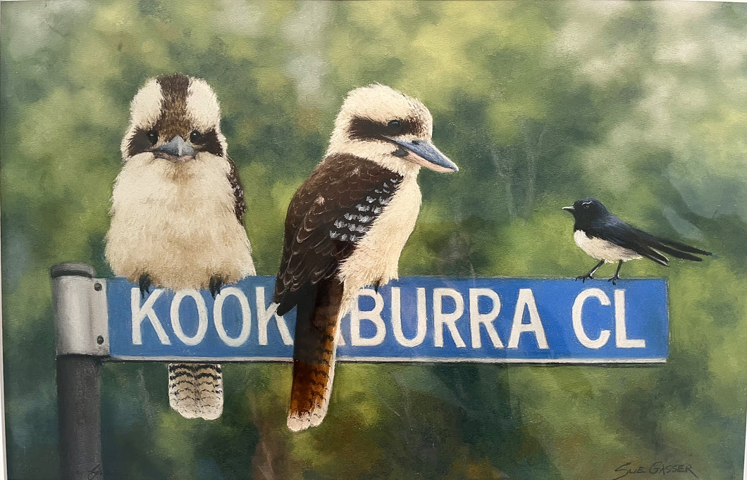 Kookaburra Close - Limited Edition Print