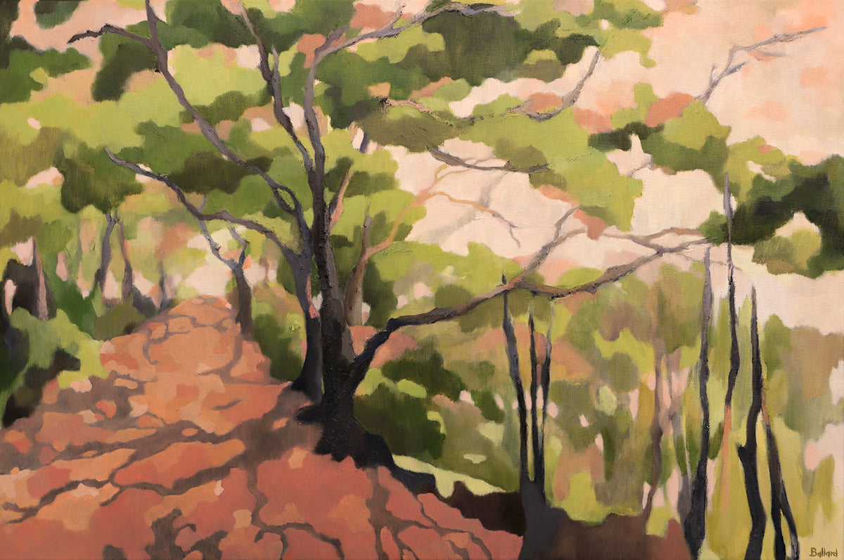 Bushwalk Blush