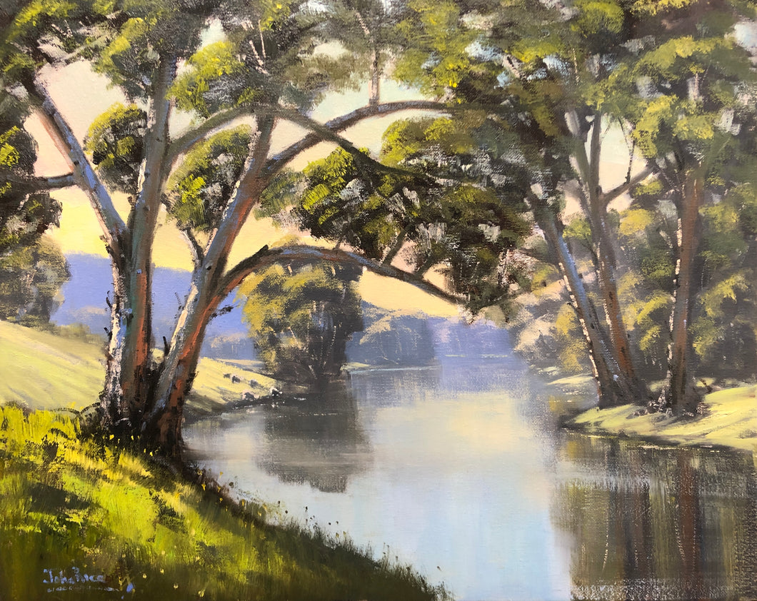 Late Afternoon on the Cudgegong