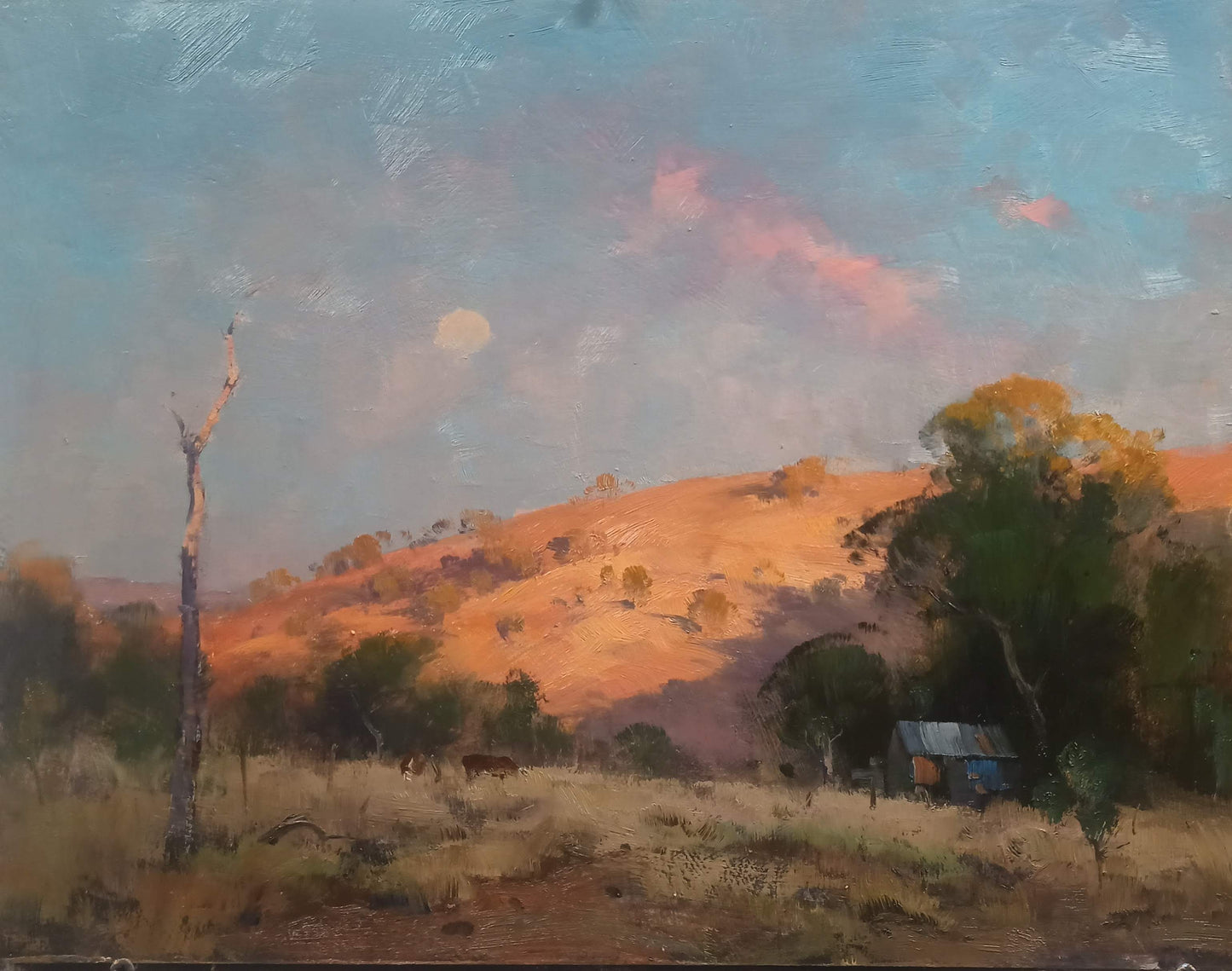 Late Crimson Touch Sofala