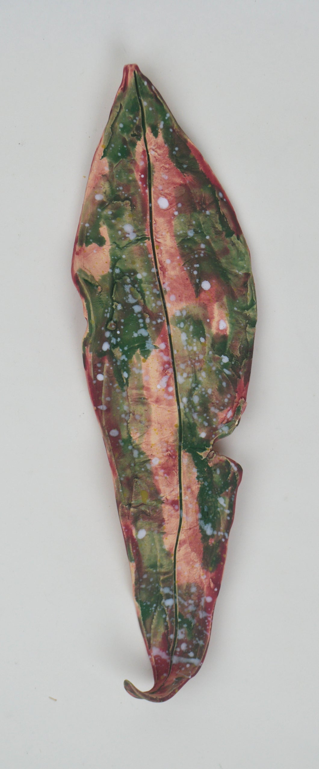 Leaf 61