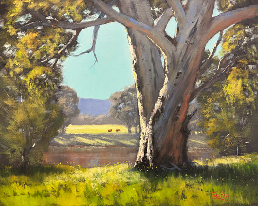 Looking Across The River, Dubbo