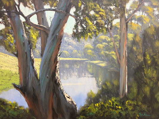 Looking Up The River