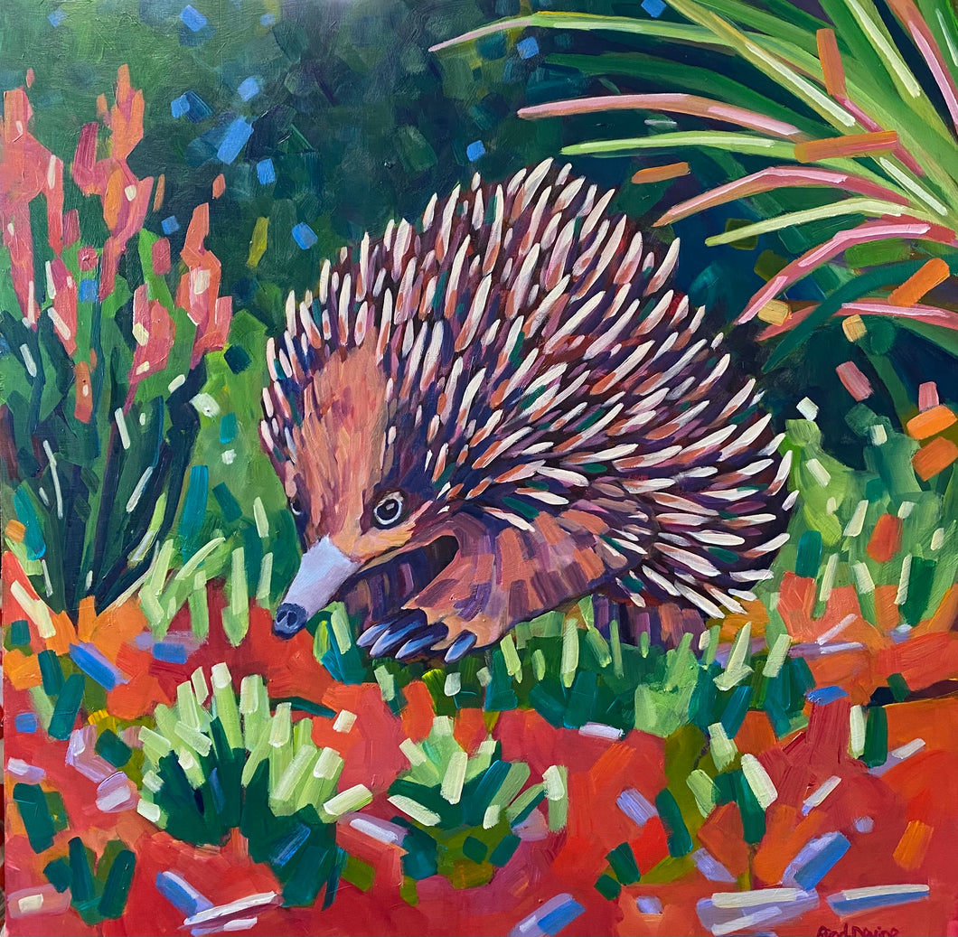 Echidna