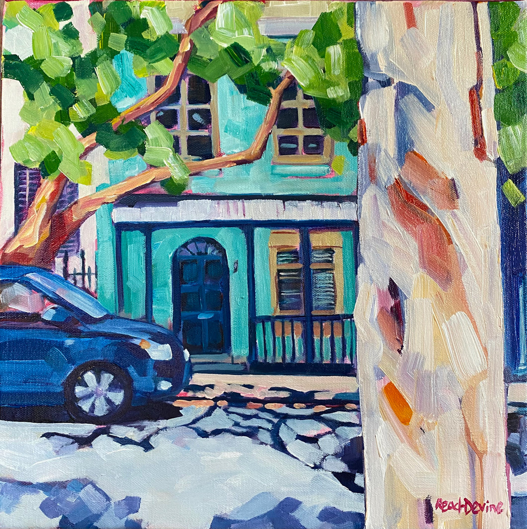Paperbark in Darlinghurst