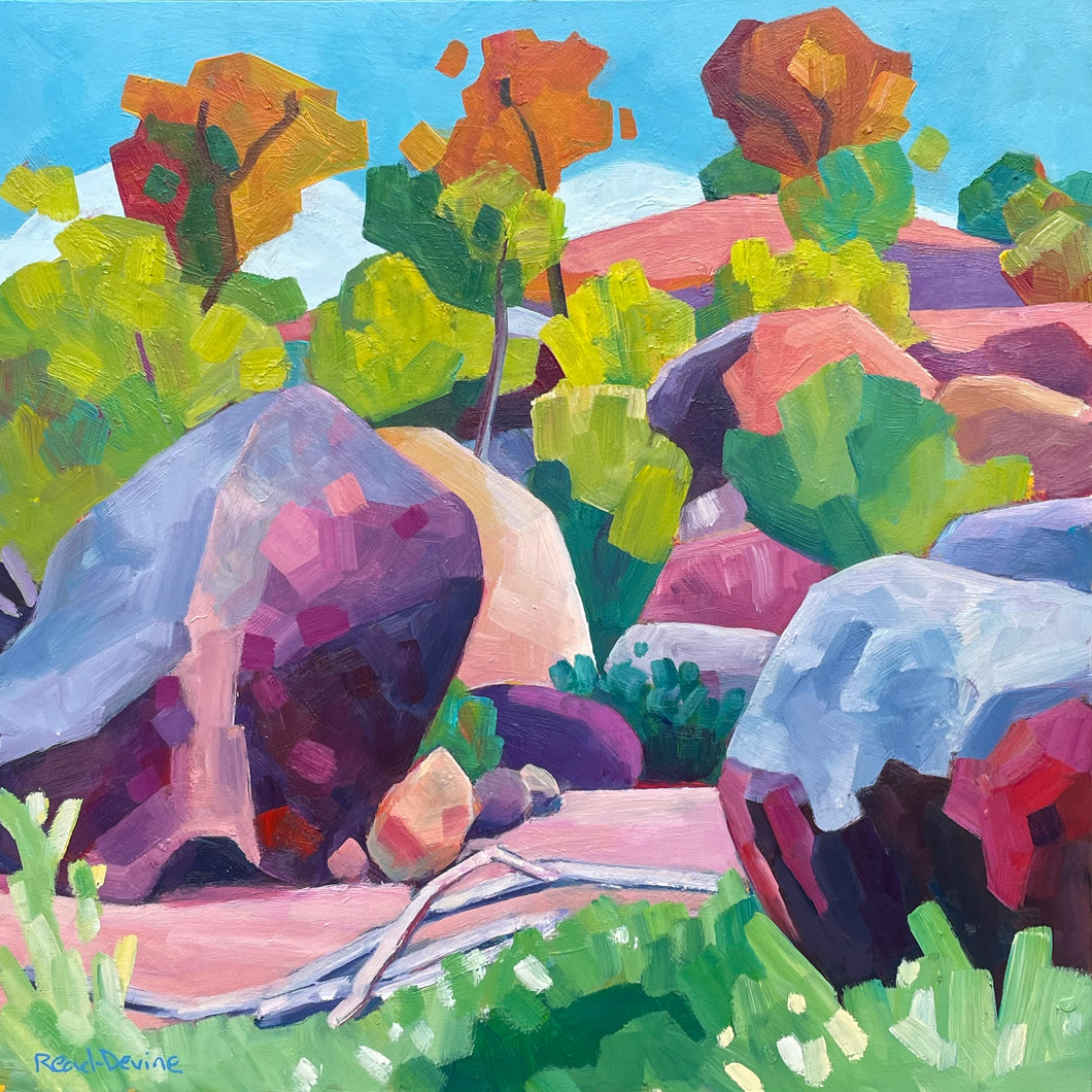 The Rocks of Kondinin