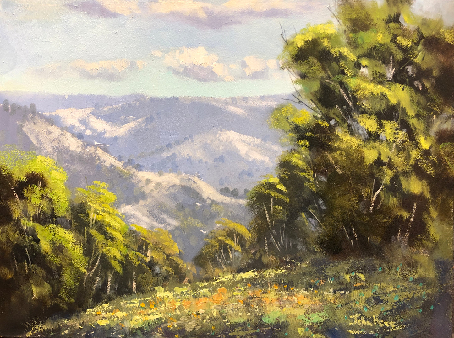 Unframed Original Landscapes by John Rice