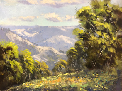 Unframed Original Landscapes by John Rice
