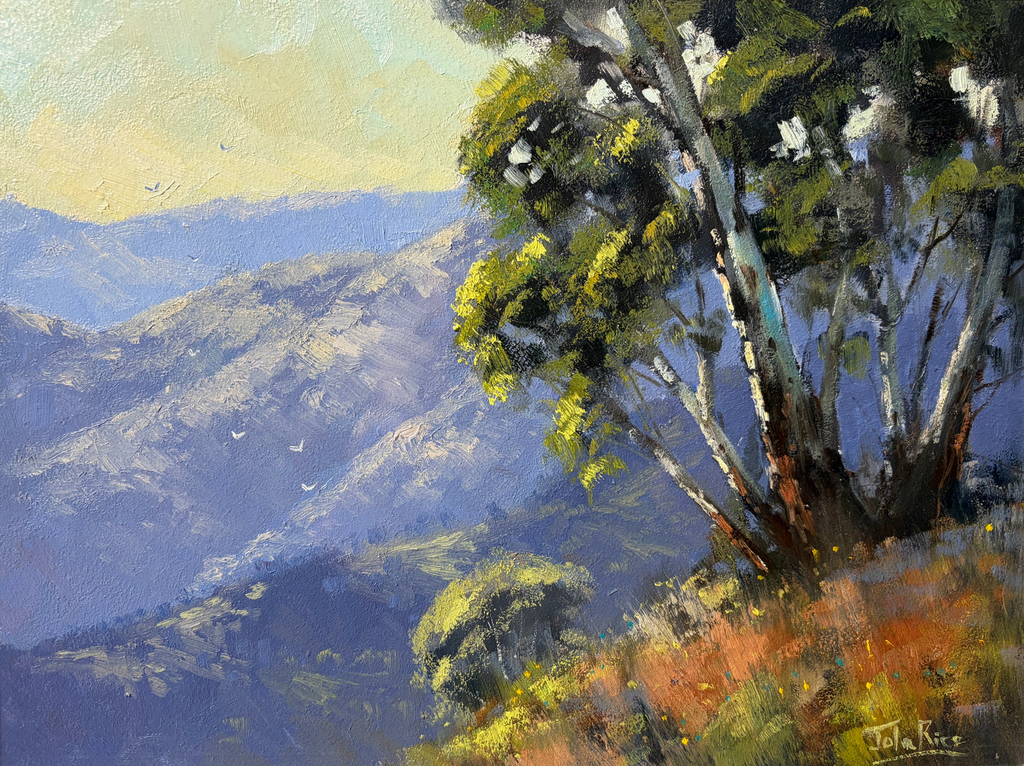 Unframed Original Landscapes by John Rice