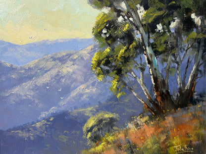 Unframed Original Landscapes by John Rice