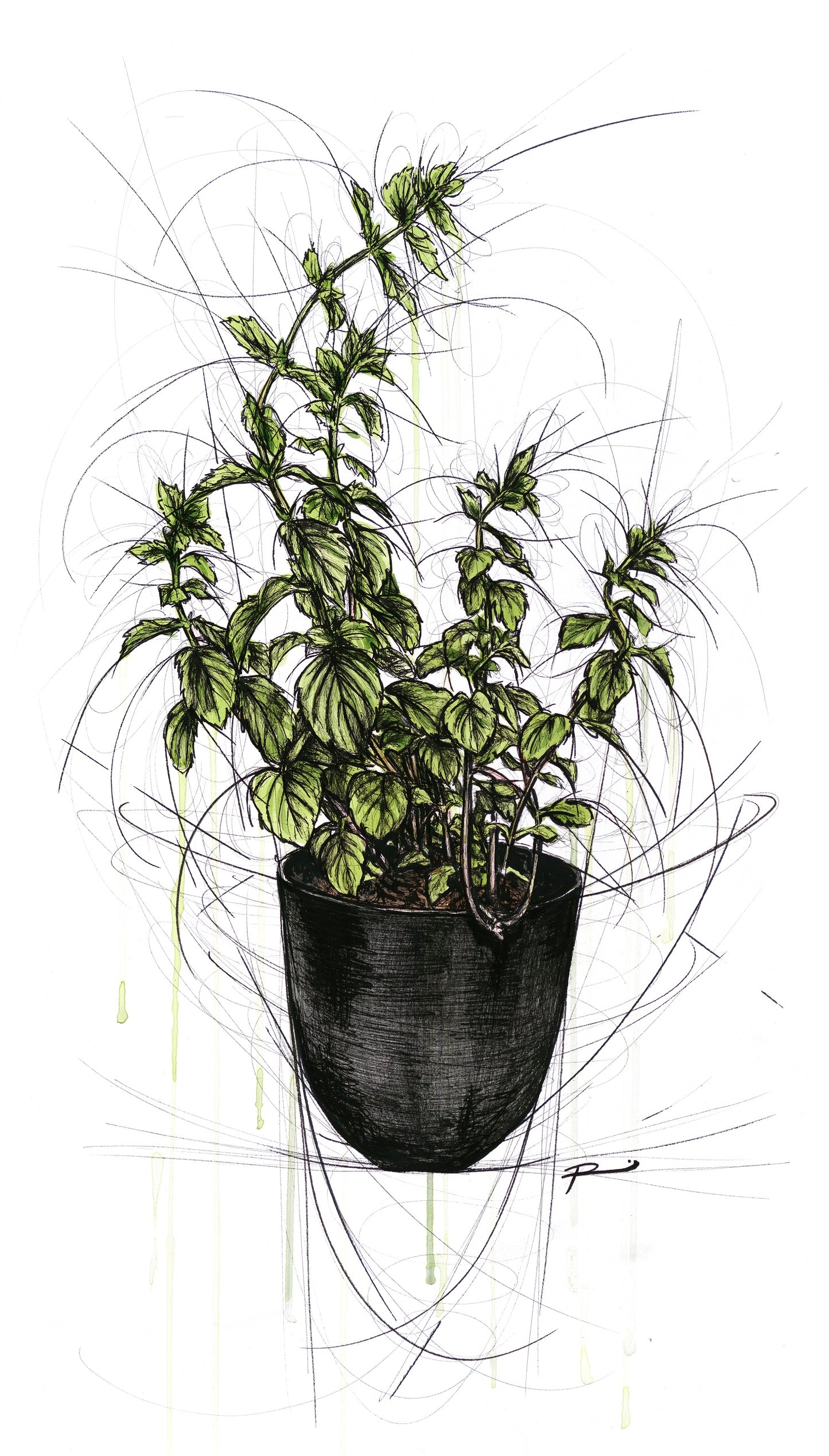 RENEE MITCHELL - AFFORDABLE ART FAIR | BRISBANE