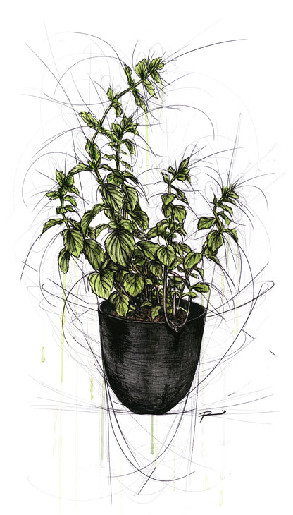 RENEE MITCHELL - AFFORDABLE ART FAIR | BRISBANE