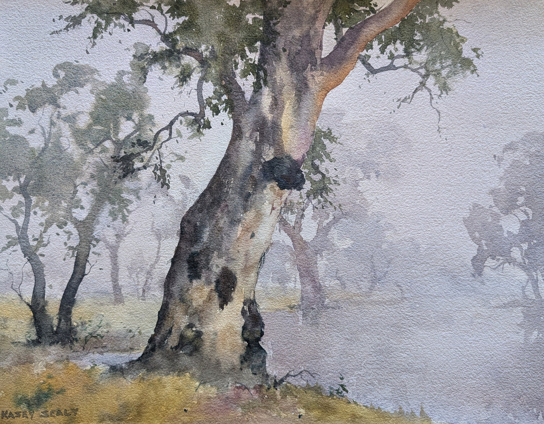 Misty Morning Boyd Creek