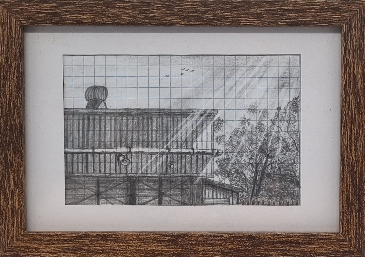 Noon Light Study
