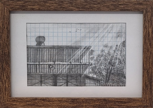 Noon Light Study