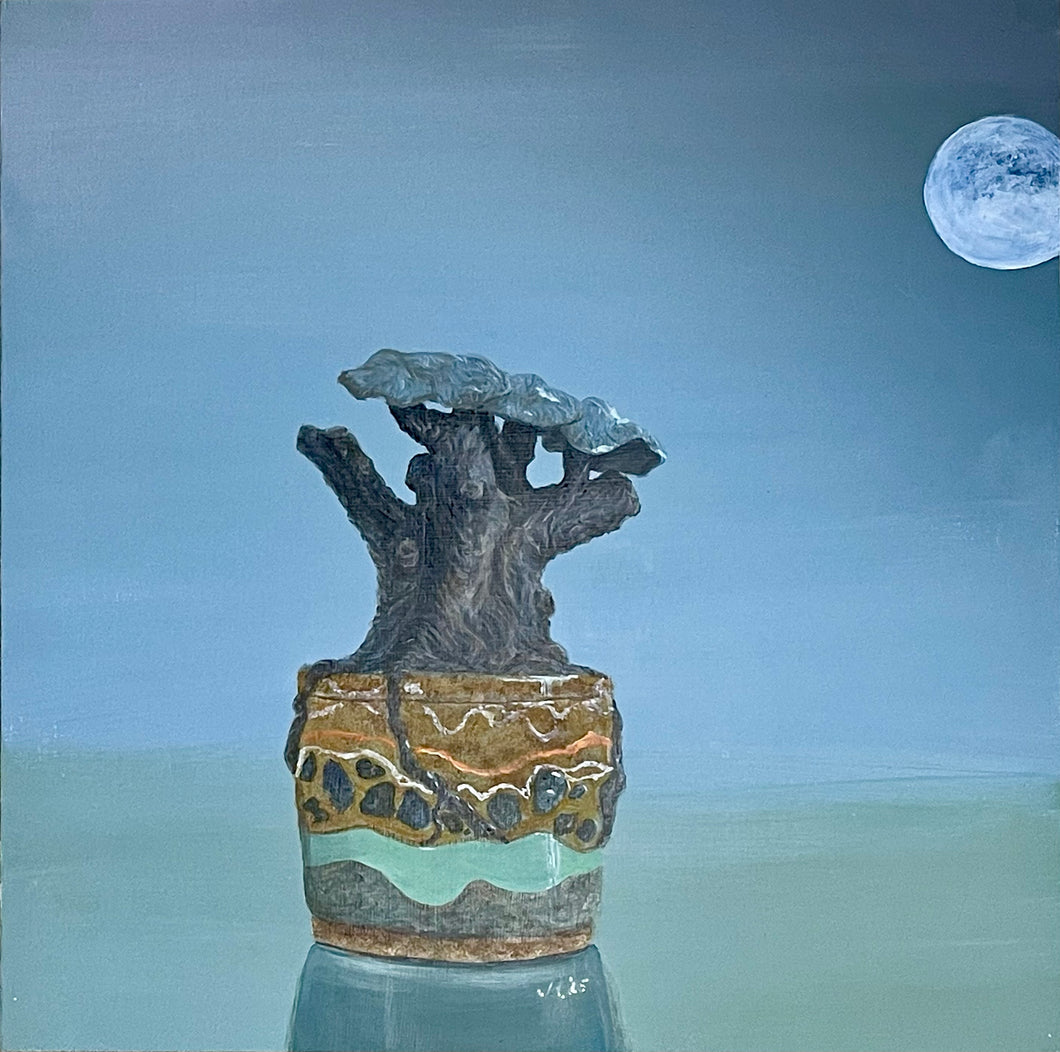 Moonlit Above and Below