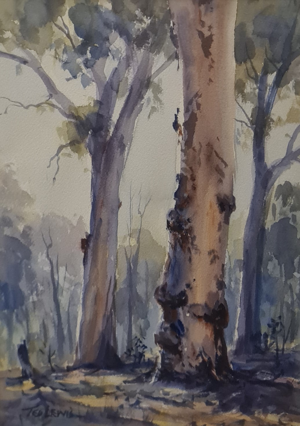 Morning Gums