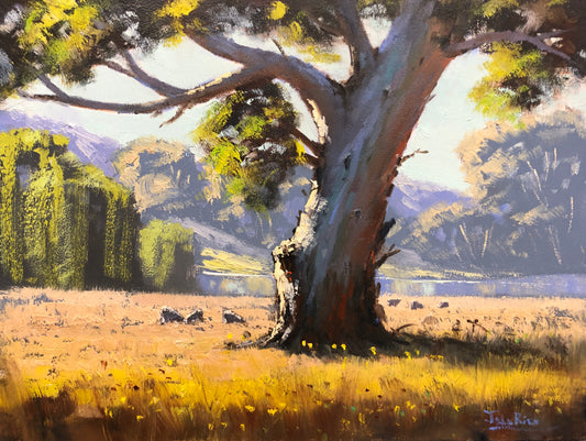 Morning Sunlight, Havilah