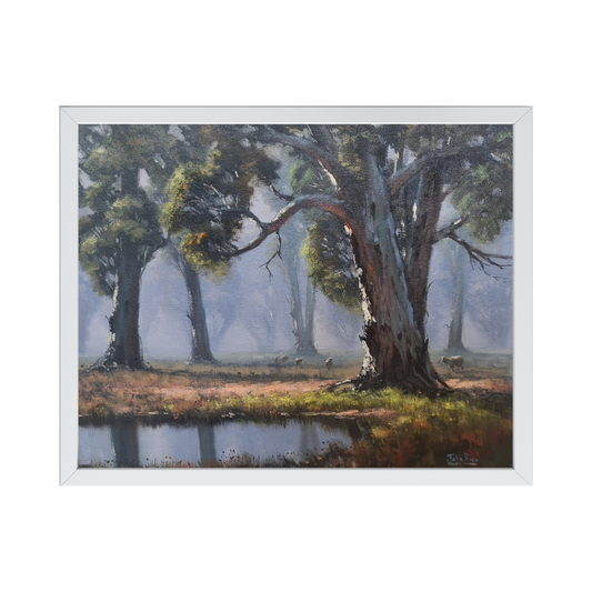 Morning Light at the Waterhole