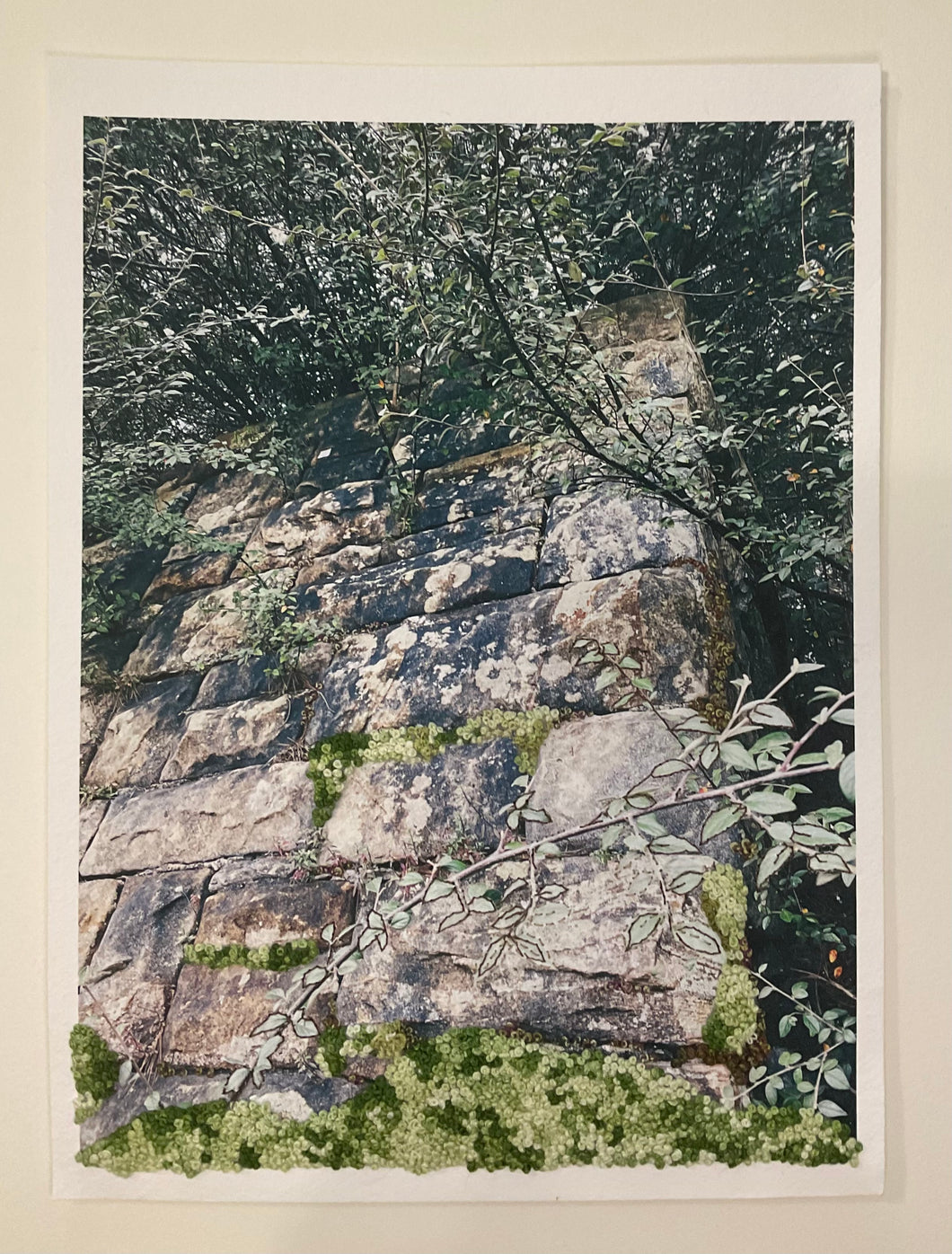 The Moss On The Wall