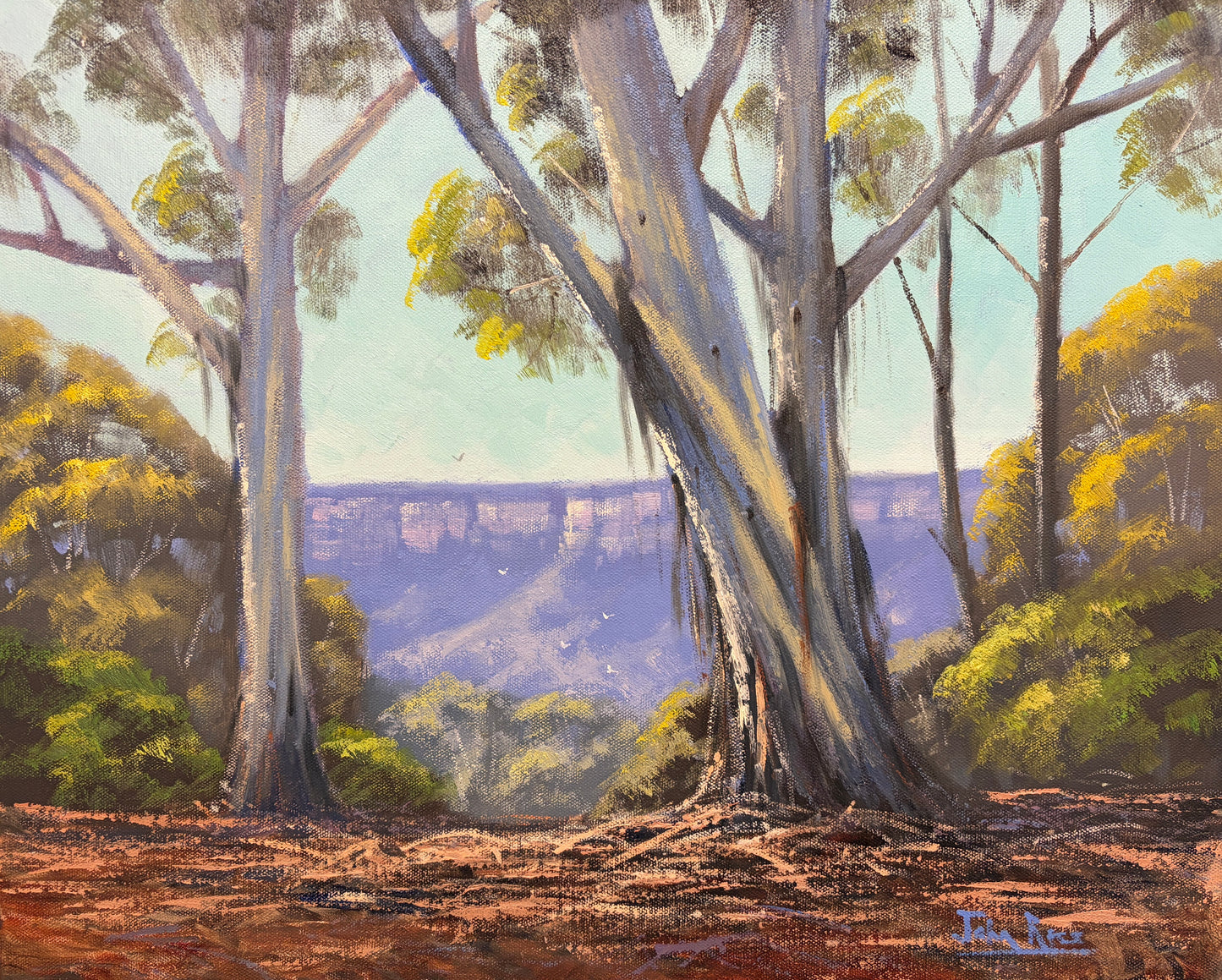 Mountain Gums, Leura