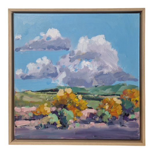 Never Enough Nullabor