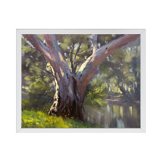 On the Cudgegong, Mudgee