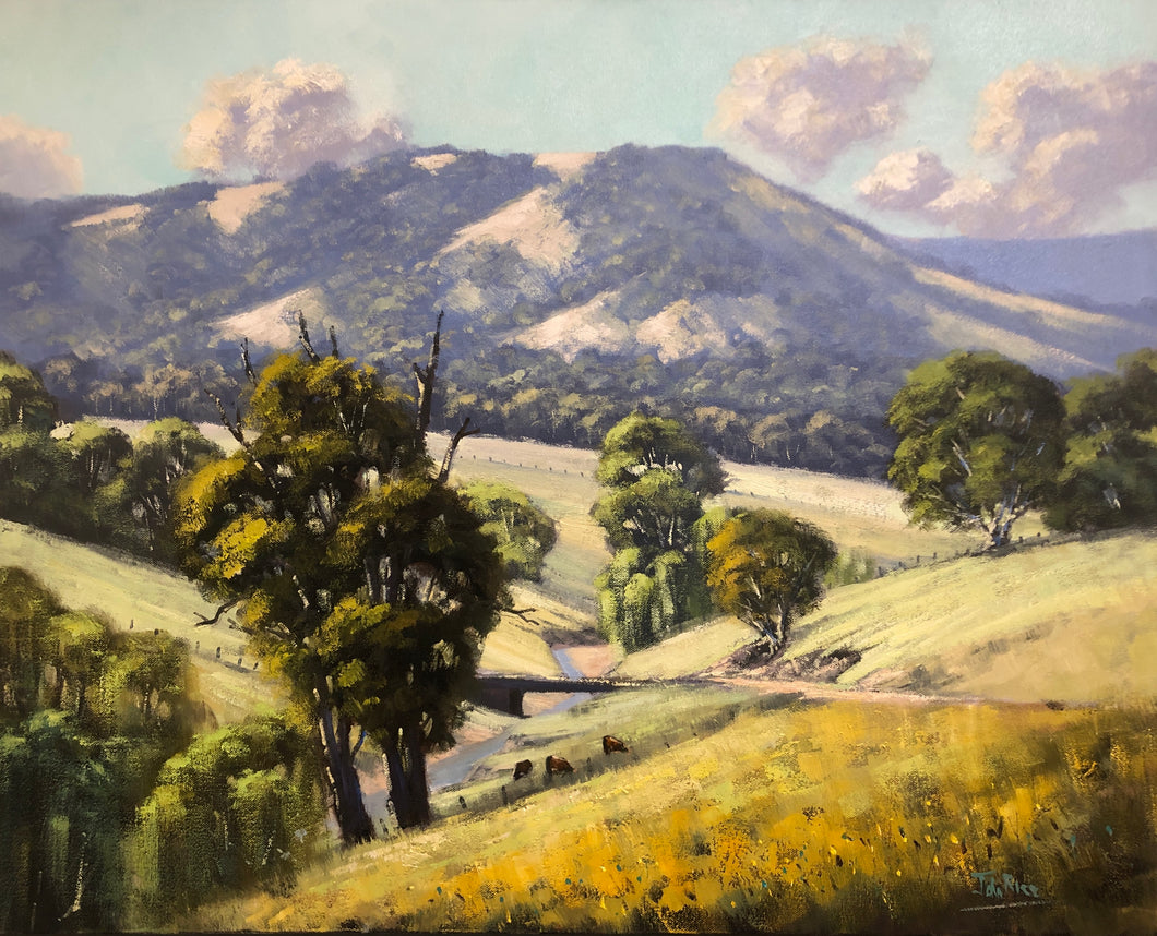 On The Cox's River Road, Kanimbla Valley