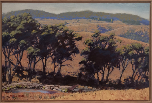 Pastures from Duckmaloi Road