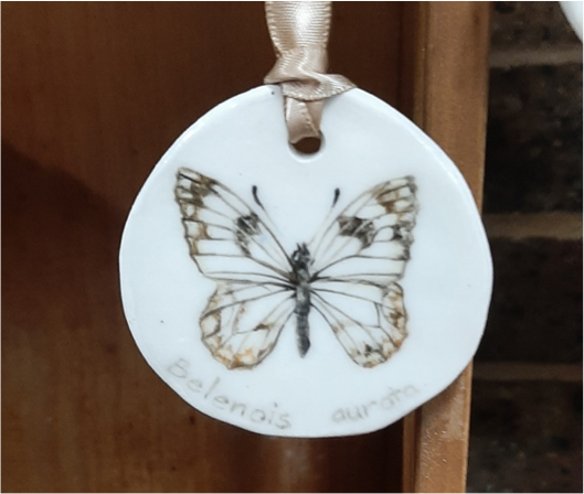 Butterfly Belenois Aurora Ornament