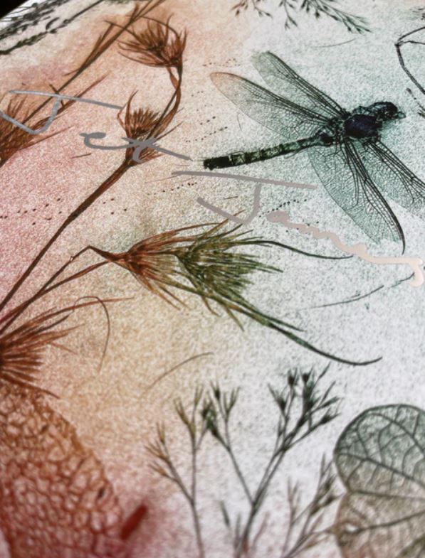 Rustic Dragonfly Artist Sketchbook