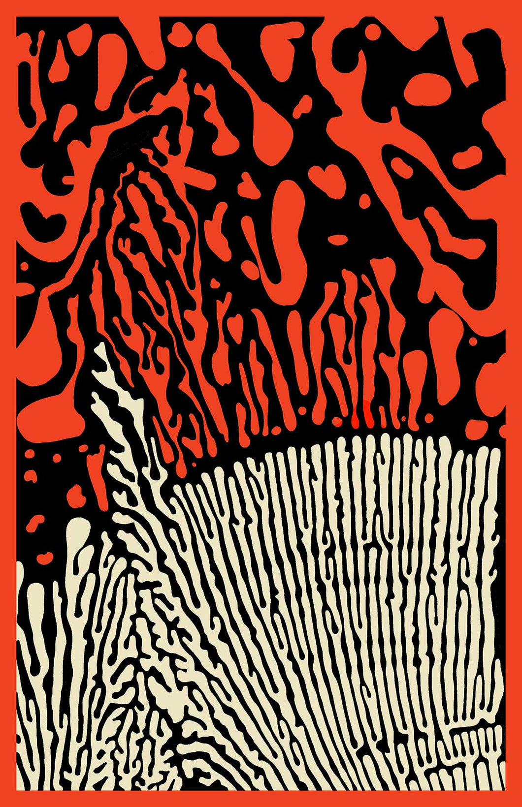 Red Sea Coral