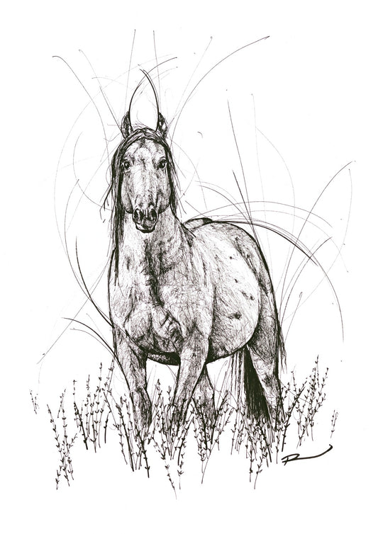 Bare Neigh-Kid (unframed)