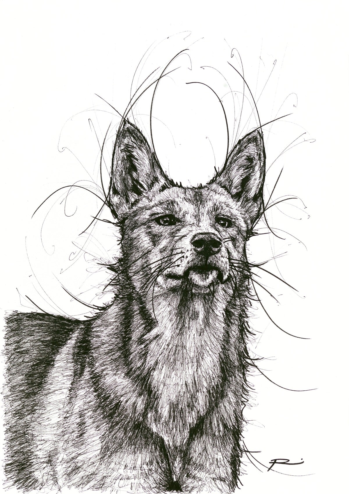 Dingo There Girlfriend (Unframed)