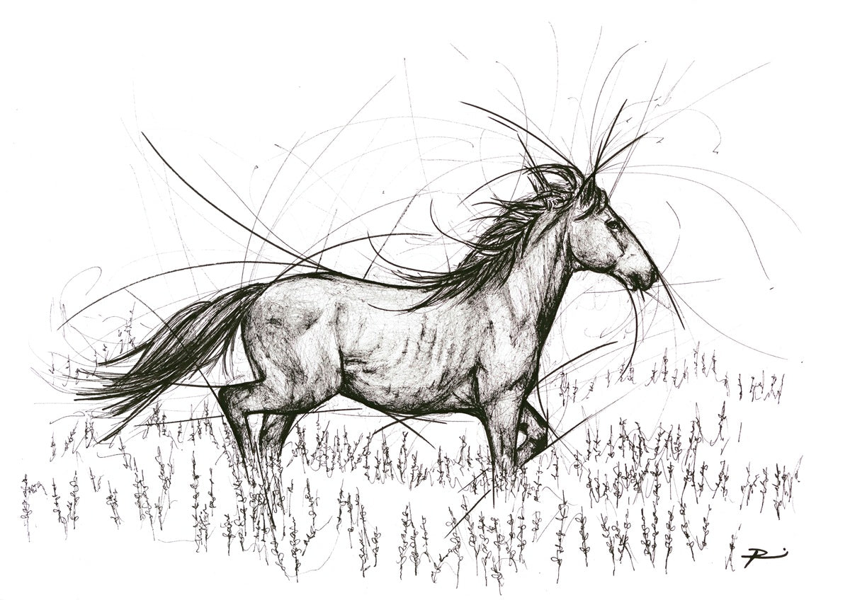 Hot to Trot (unframed)