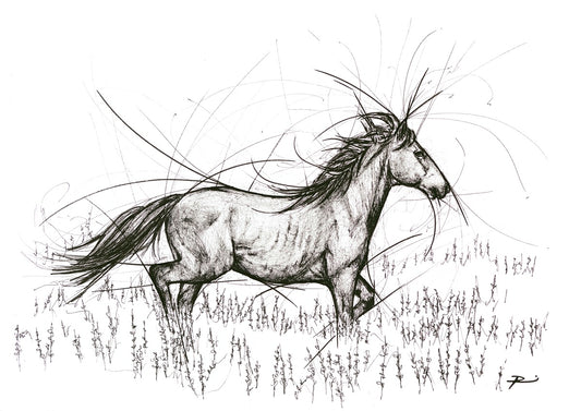 Hot to Trot (unframed)