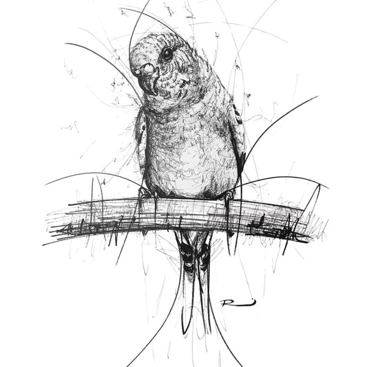 Nope. I'm Not Budgie-ing