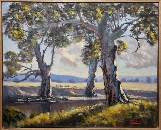 River Gums
