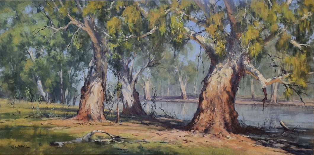 River Gums