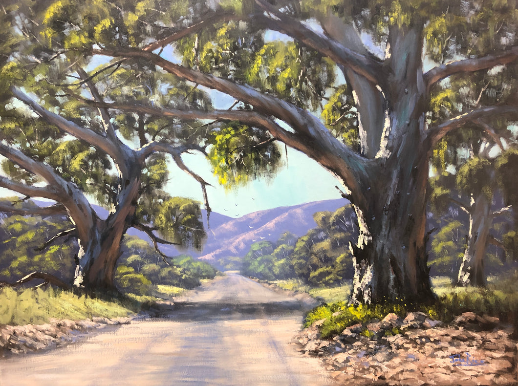 Road Through the Flinders